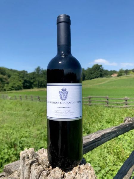 TENUTA DI CAMUGLIANO - Ponsacco (Pisa) 