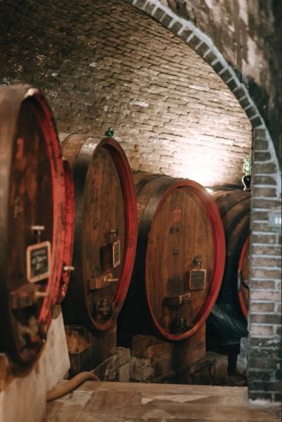 Fèlsina, Castelnuovo Berardenga (SI)