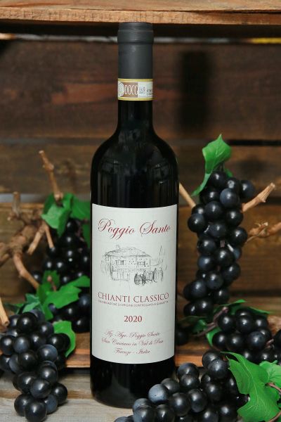 Az Agricola Poggio Santo, Montefiridolfi (FI)