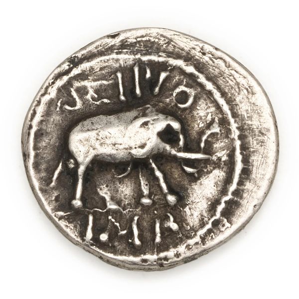 Caecilia - Denario Q. Caecilius Metellus Pius Scipio (47-46 a.C.) - Zecca: itinerante in Africa