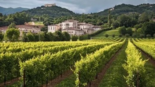 VITTORIO DALLE ORE - VILLA DI MASER