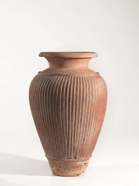 Pithos ceretano&nbsp;&nbsp;&nbsp;&nbsp;&nbsp;&nbsp;&nbsp;&nbsp;&nbsp;&nbsp;&nbsp;&nbsp;&nbsp;&nbsp;&nbsp;&nbsp;&nbsp;&nbsp;&nbsp;&nbsp;&nbsp;&nbsp;&nbsp;&nbsp;&nbsp;&nbsp;&nbsp;&nbsp;&nbsp;&nbsp;&nbsp;&nbsp;&nbsp;&nbsp;&nbsp;&nbsp;&nbsp;&nbsp;&nbsp;&nbsp;&nbsp;&nbsp;&nbsp;&nbsp;&nbsp;&nbsp;&nbsp;&nbsp;&nbsp;&nbsp;&nbsp;&nbsp;&nbsp;&nbsp;&nbsp;&nbsp;&nbsp;&nbsp;&nbsp;