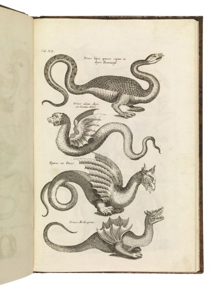      (Storia naturale - Illustrati 600)   JONSTON Joannes.   De quadrupedis - De serpentibus - De piscibus - De avibus.   Seconda met&agrave; secolo XVII.  