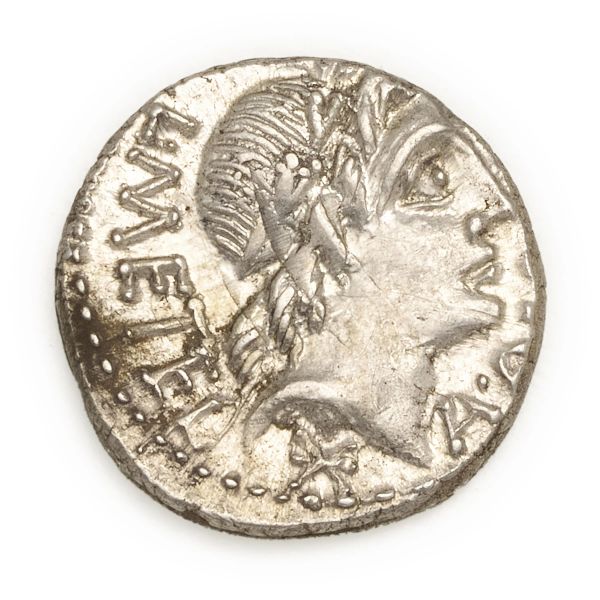 



Caecilia - Denario L. Caecilius Metellus (96 a.C.)&nbsp; - Zecca: Roma