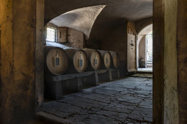 FATTORIA di TORRE A CONA - San Donato in Collina, Rignano sull'Arno (Firenze)