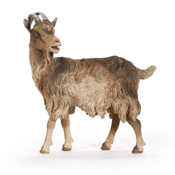 A GOAT, NAPLES, 18TH/19TH CENTURY