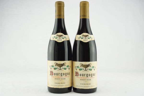 Bourgogne Pinot Noir Domaine J.-F. Coche Dury