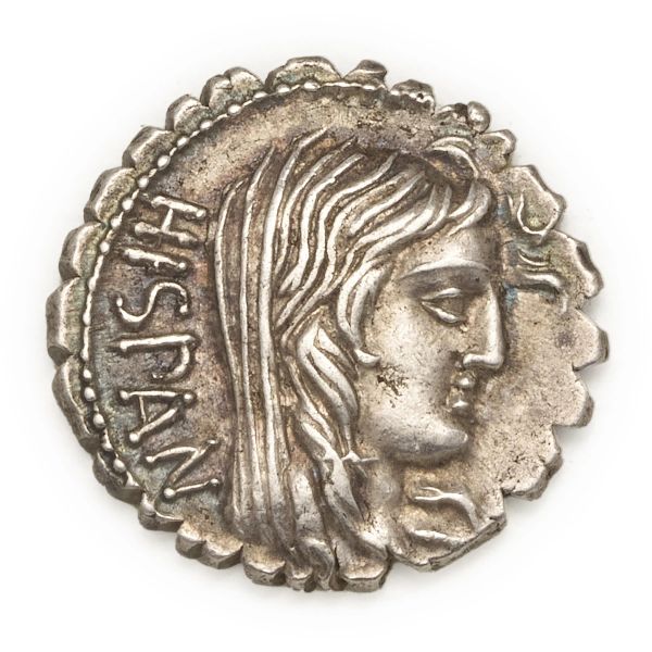 



Postumia - Denario serrato A. Postumius Albinus (81 a.C.) - Zecca: Roma