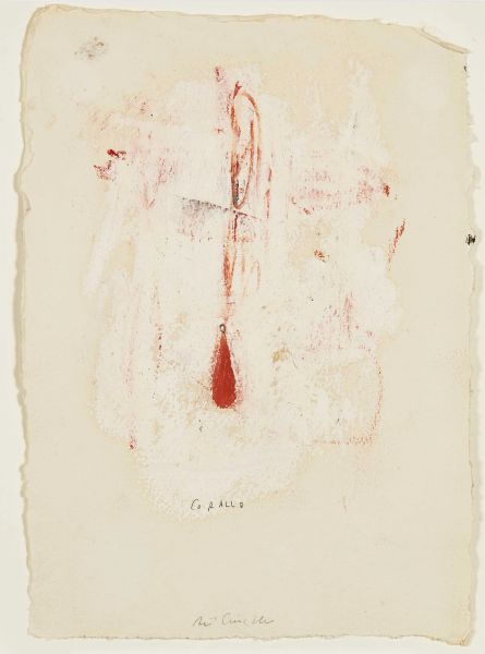      PIERO PIZZI CANNELLA  