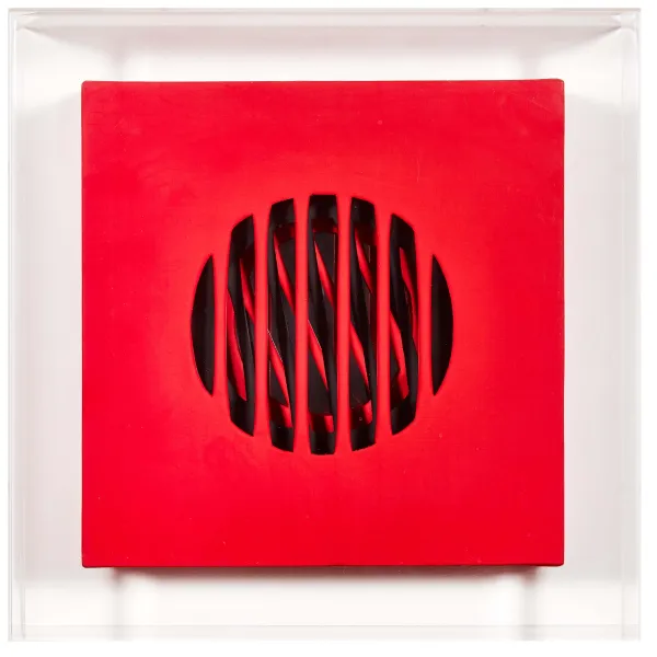 Vanna Nicolotti - 



VANNA NICOLOTTI 