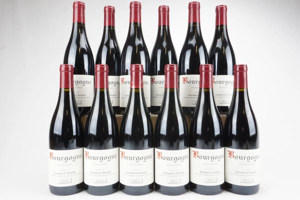      Bourgone Domaine Georges &amp; Christophe Roumier 2011 