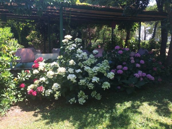 FABRIZIA SCASSELLATI SFORZOLINI