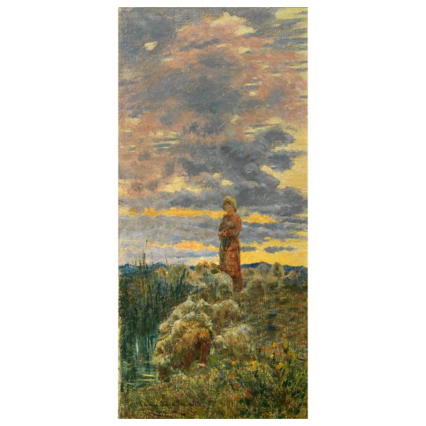 



Niccol&ograve; Cannicci