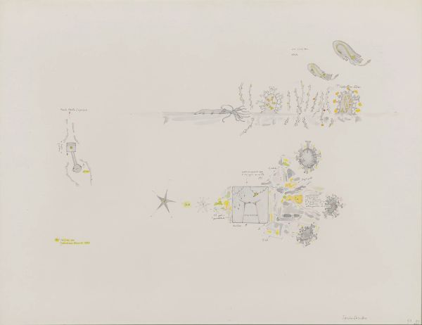      GIANFRANCO BARUCHELLO 