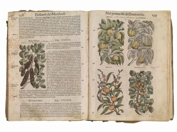 (Botanica  Illustrati 500) MATTIOLI, Pietro Andrea. I discorsi di M. Pietro