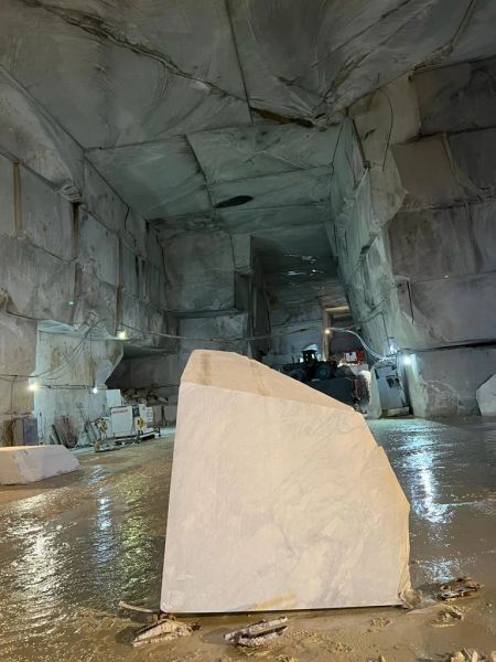 DITTA EZIO RONCHIERI S.p.A.