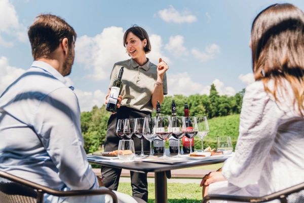 Vallepicciola, Castelnuovo Berardenga (SI)