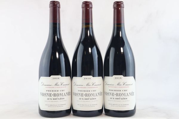 



Vosne-Roman&eacute;e Aux Brul&eacute;es Domaine M&eacute;o-Camuzet 