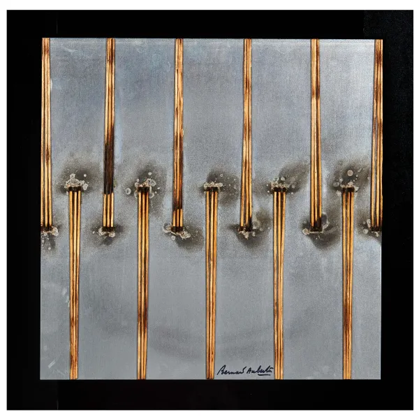 Bernard Aubertin - 



BERNARD AUBERTIN 