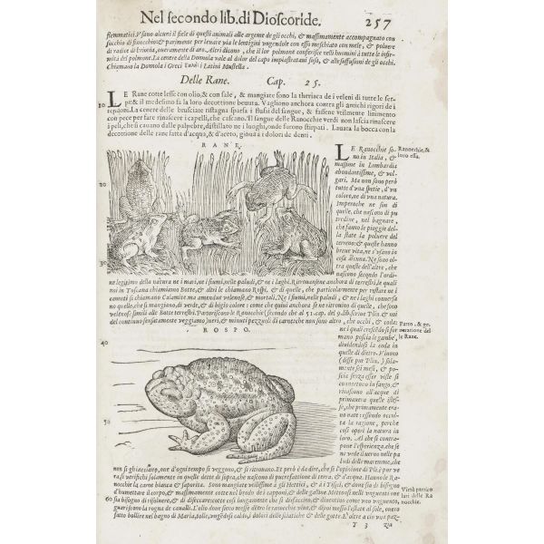 



A fine group of three works by Mattioli