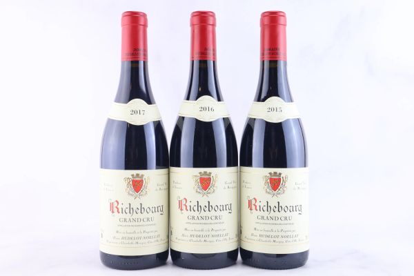 



Richebourg Domaine Hudelot-No&euml;llat
