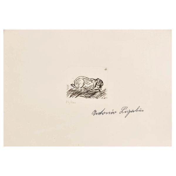 ANTONIO LIGABUE (after)