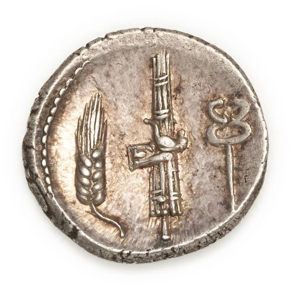 Norba - Denario C. Norbanus (83 a.C.) - Zecca: Roma