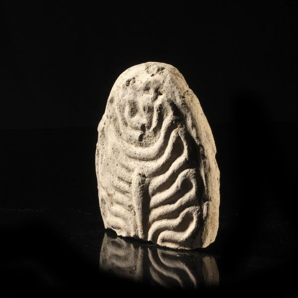 PLACCA POLIVISCERALE