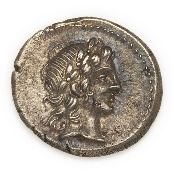 



Norba - Denario L. Marcius Censorinus (82 a.C.) - Zecca: Roma