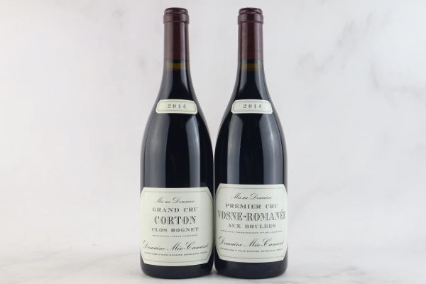 



Selezione Domaine M&eacute;o-Camuzet 2014