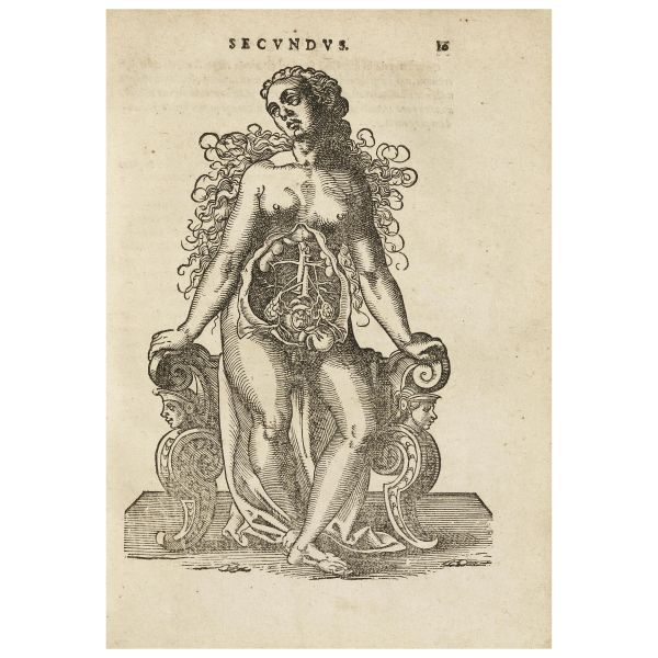 Rueff, Jacob. De conceptu, et generatione hominis. Francoforte, Schmidt per Feyerabend, 1587.