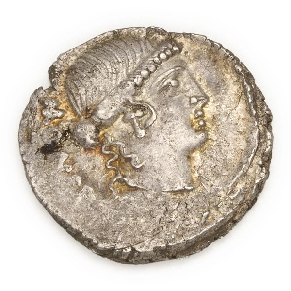 



Carisia - Denario T. Carisius (46 a.C.) - Zecca: Roma