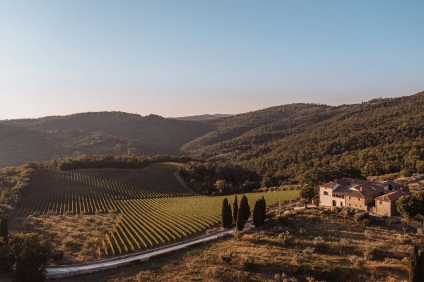 NICOLÒ CASINI-BINDI SERGARDI 