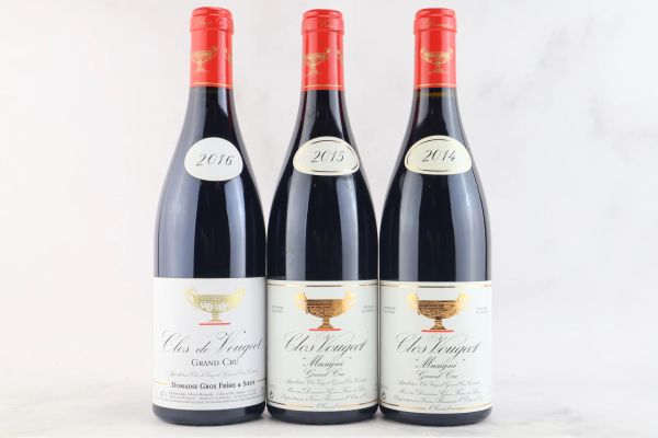 



Selezione Clos de Vougeot Domaine Gros Frere et Soeur