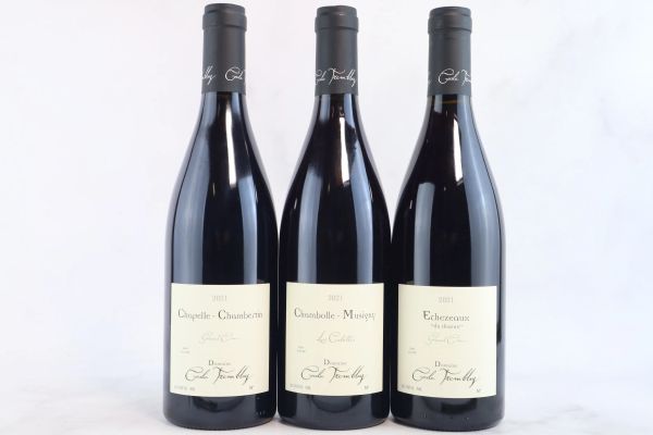



Selezione Domaine C&eacute;cile Tremblay 2021