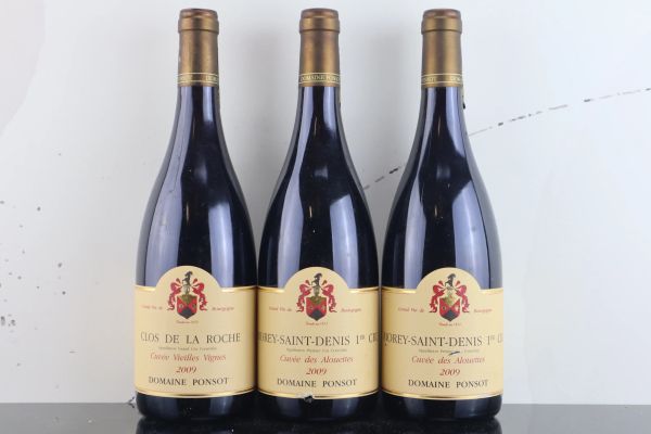 Selezione Domaine Ponsot 2009
