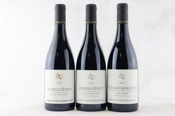 



Selezione Domaine Sylvain Cathiard