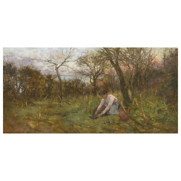 Francesco Gioli - 



Francesco Gioli
