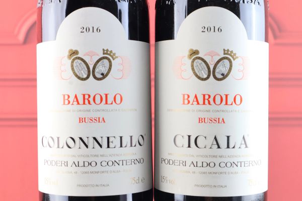 



Selezione Barolo Bussia Poderi Aldo Conterno 2016