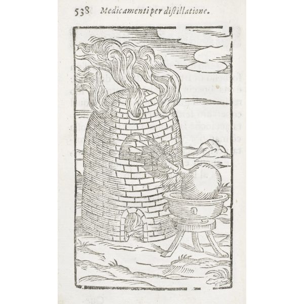 Ferrara, Gabriele. Nuova selva di cirugia, divisa in tre parti. Venezia, Combi, 1627.