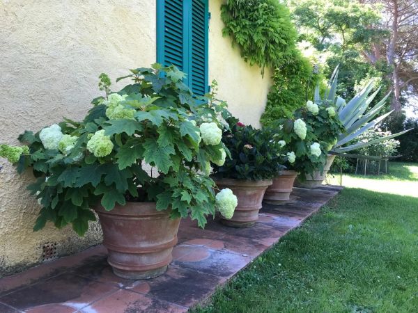 FABRIZIA SCASSELLATI SFORZOLINI