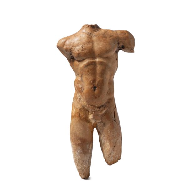 



TORSO VIRILE