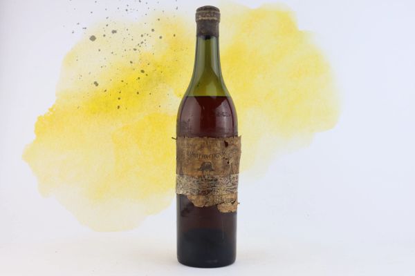 



Cognac de l'Empire Napoleon Ancienne Maison Gino Antony &amp; Fils 1868 