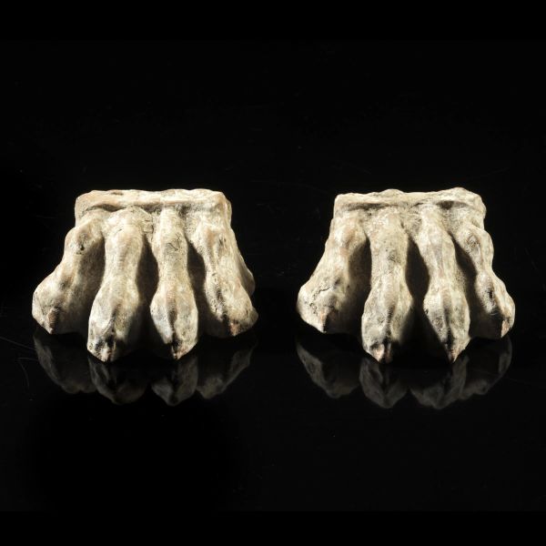 COPPIA DI ZAMPE ZOOMORFE