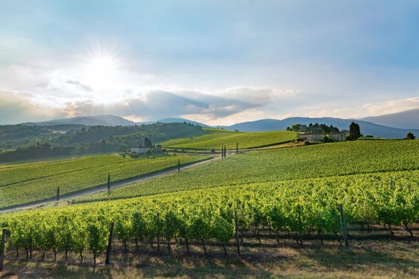 Marchesi Frescobaldi