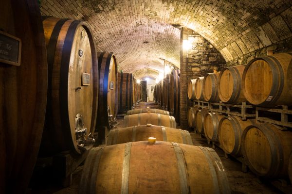 Fattoria S. Michele a Torri, Scandicci (FI)