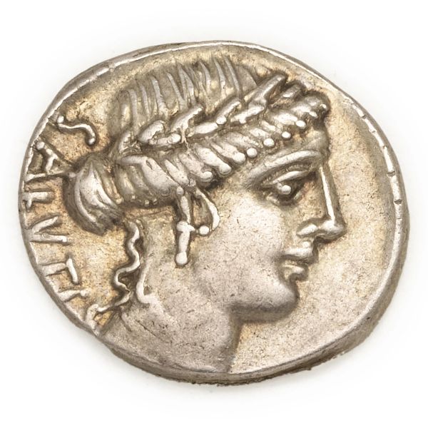 



Acilia - Denario Man. Acilius Glabrio (49 a.C.) - Zecca: Roma