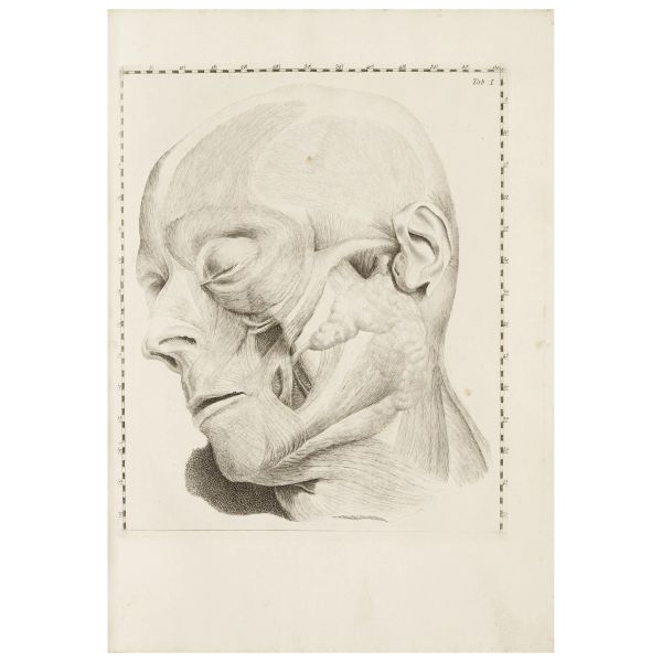 Handsome copy of this magnificent first edition anatomical treatise