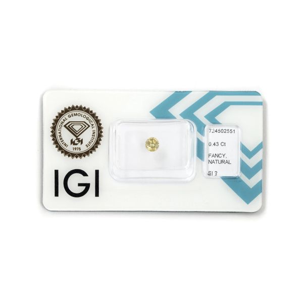 



BRILLIANT-CUT DIAMOND WITH IGI CERTIFICATE