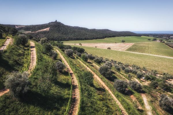 MARCHESI ANTINORI Spa